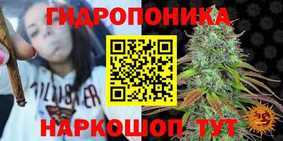 крисы Коммунар