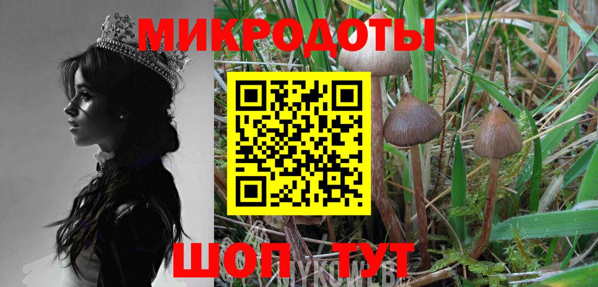 купить наркотики цена  Вход с VPN  Коряжма  Галлюциногенные грибы ЛСД 
